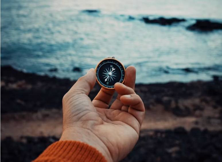 Coach ou consultant : comment choisir le bon accompagnement ?