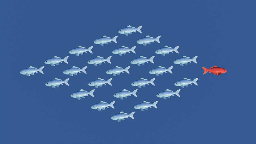 Mushroom, Cabinet de recrutement, chasseurs de têtes, chasseur de tête, communication, marketing, digital, innovation, technologie, Vivatech, agence, annonceur, Start up, agences, annonceurs, web, design, création, direction artistique, directeur de création, expérience, Paris, Dubai, UAE, Moyen Orient, luxe, mode, grande distribution, banque, assurance, finance, retail, coaching, management de transition